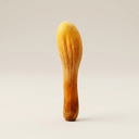 Cordyceps