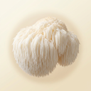 Lion's Mane